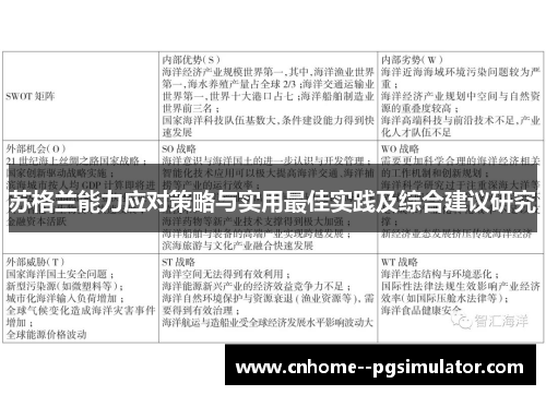 苏格兰能力应对策略与实用最佳实践及综合建议研究