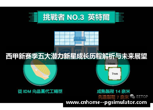 西甲新赛季五大潜力新星成长历程解析与未来展望