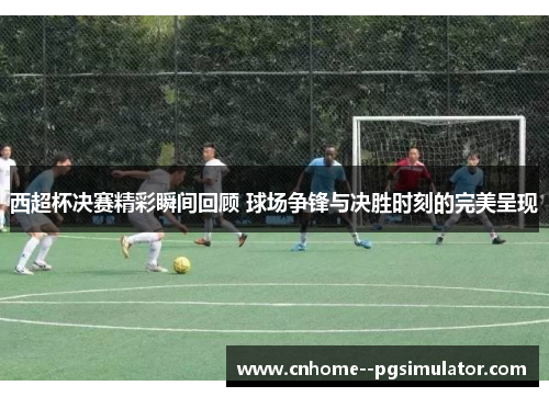 西超杯决赛精彩瞬间回顾 球场争锋与决胜时刻的完美呈现