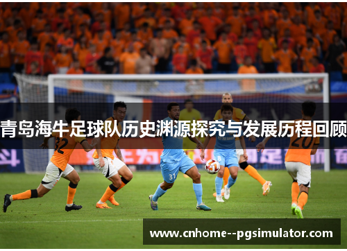 青岛海牛足球队历史渊源探究与发展历程回顾