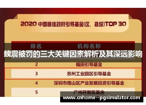 魏震被罚的三大关键因素解析及其深远影响